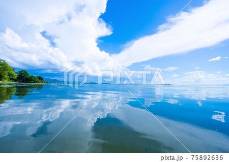 琵琶湖 夏景色 琵琶湖 夏景色 75892636