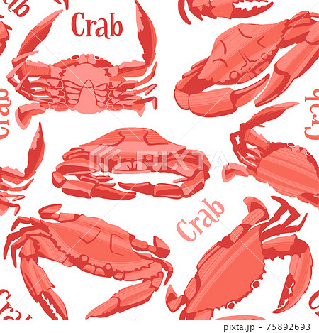 Decorative vector seamless pattern with differnt crabs. Decorative vector seamless pattern with differnt crabs. 75892693