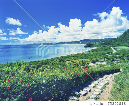 沖縄県　石垣島　玉取展望台から白保崎方面の海 75892818