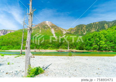 初夏の上高地　梓川と焼岳　【長野県】 75893471