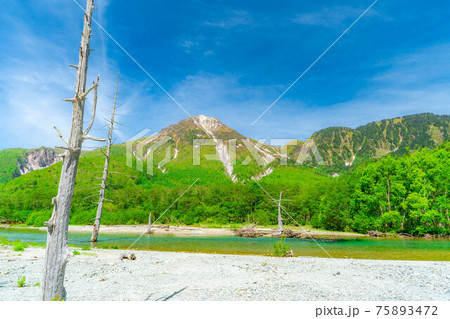 初夏の上高地　梓川と焼岳　【長野県】 75893472