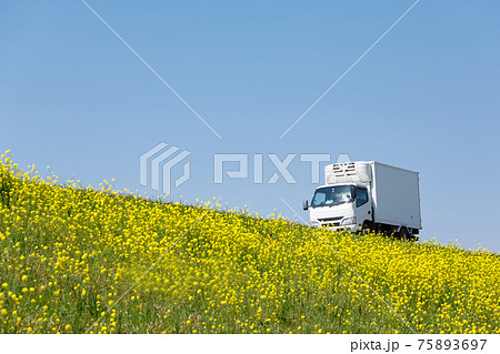 トラック　イメージ 75893697