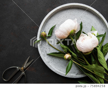 Peony flowers on a black concrete background Peony flowers on a black concrete background 75894258