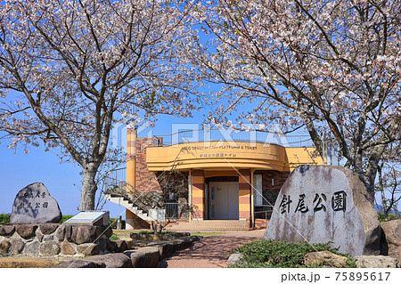 春の針尾公園 75895617