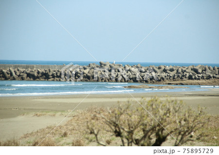 宮崎の春の海 宮崎の春の海 75895729