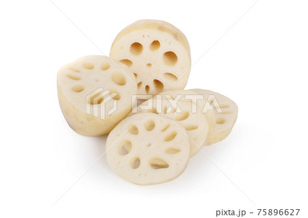 Lotus root on the white background Lotus root on the white background 75896627