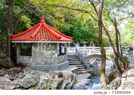 炭酸水 谷 精子 75896990