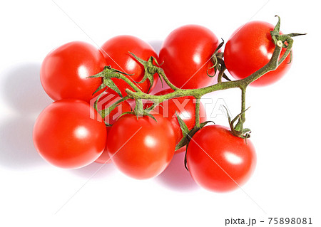 とまと（房採りトマト） 75898081