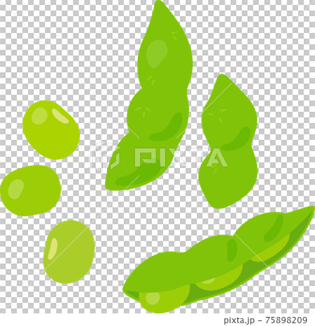 枝豆のサヤと豆 75898209