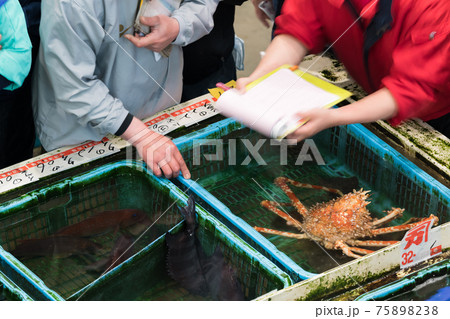 【魚市場 タカアシガニの競り】 【魚市場 タカアシガニの競り】 75898238