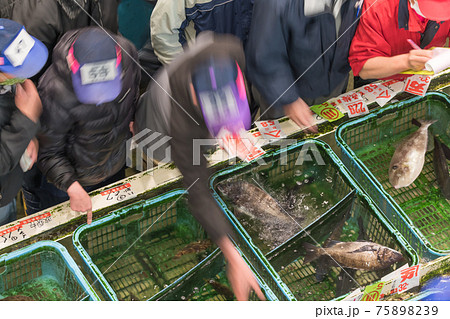 【魚市場の競り】 75898239