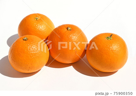 柑橘（春峰） 75900350