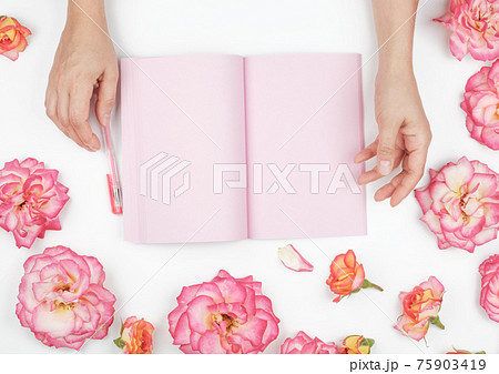 two female hands holding open notepad with clean pink sheets on a white background, around pink rosebuds two female hands holding open notepad with clean pink sheets on a white background, around pink rosebuds 75903419