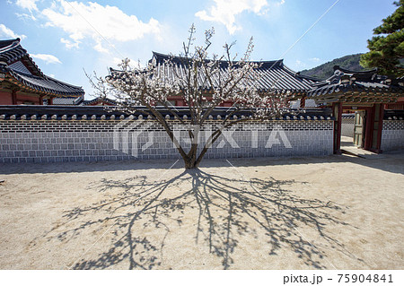 韓国 屋根 世界文化遺産 75904841