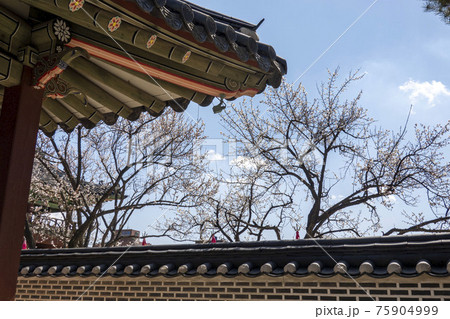 木 屋根 世界文化遺産 75904999