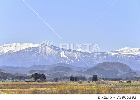 宮城の田園、春を待つ里山から雪の蔵王を望む 75905292