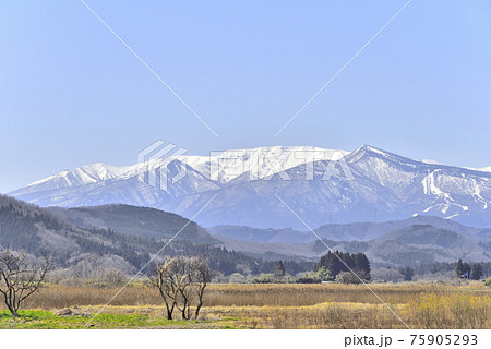 宮城の田園、春を待つ里山から雪の蔵王を望む 75905293