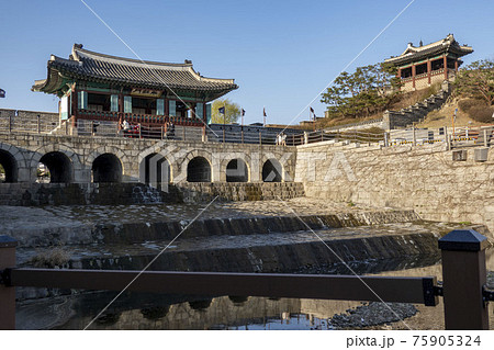 世界文化遺産 池 蓮 75905324