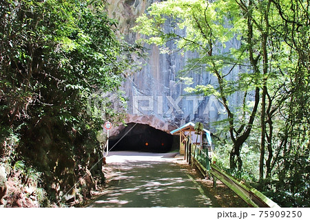 羽山第二隧道 岡山の素掘りトンネル 羽山第二隧道 岡山の素掘りトンネル 75909250