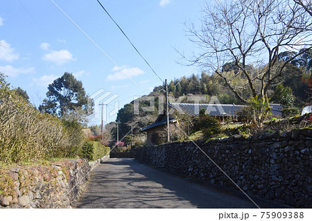 鹿児島県・入来武家屋敷の街並み 鹿児島県・入来武家屋敷の街並み 75909388