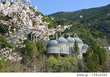熊本県球磨村のエジソンミュージアムと桜 75910165