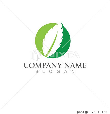 Mint leaves flat vector icon 75910166