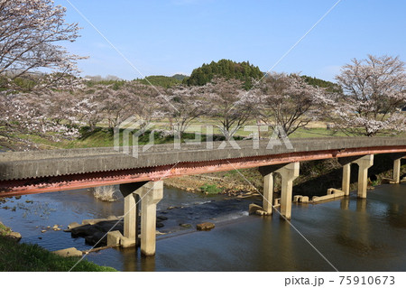 宇陀川の桜 75910673