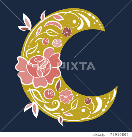 Neo folklore floral art, vector, hand drawn design. Fairy flowers, flourish motif, crescent moon, flat illustration in pink colors palette. 75910892