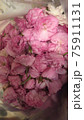 八重桜の塩漬け前 75911131
