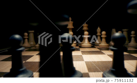 Black and white chess pieces before the game start. Macro shot Black and white chess pieces before the game start. Macro shot 75911132
