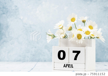 cube calendar for april decorated with daisy flowers over blue with copy space cube calendar for april decorated with daisy flowers over blue with copy space 75911152