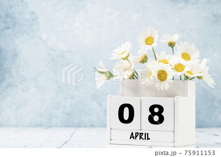 cube calendar for april decorated with daisy flowers over blue with copy space cube calendar for april decorated with daisy flowers over blue with copy space 75911153