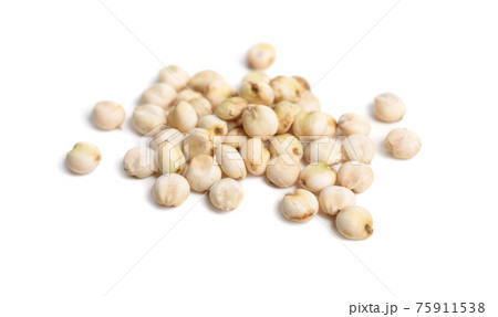 Commercial sorghum orysoidum often S. bicolor. Isolated. 75911538