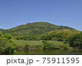 初夏の三輪山 75911595