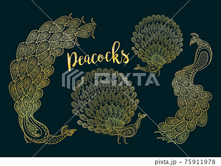 Golden peacocks set on dark turqiouse Golden peacocks set on dark turqiouse 75911978