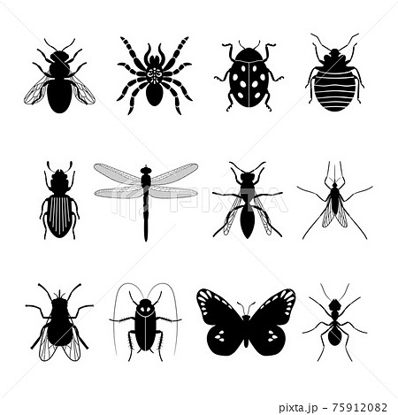 Insects icons 75912082