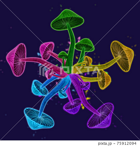Psychedelic toadstool neon circle illustration Psychedelic toadstool neon circle illustration 75912094