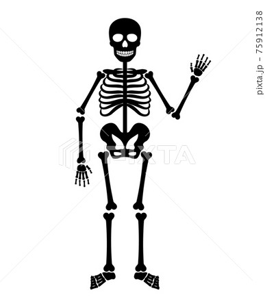 halloween black skeleton halloween black skeleton 75912138