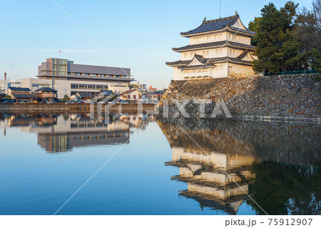 Nagoya, Japan castle moat 75912907