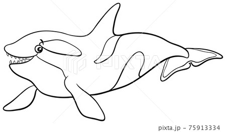 cartoon orca or killer whale animal character coloring book page 75913334