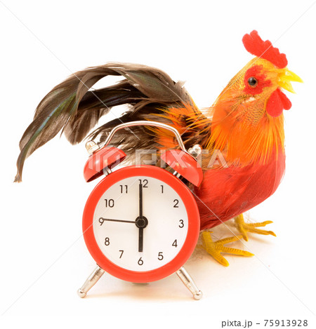 Wake Up Routine Wake Up Routine 75913928