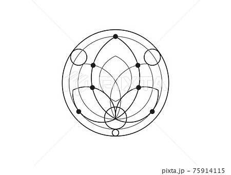 Seed of life lotus symbol Sacred Geometry. Logo icon  Geometric mystic mandala of alchemy esoteric Flower of Life. Vector black tattoo divine meditative amulet isolated on white background 75914115