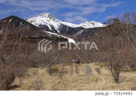 山梨県北杜市　清里高原　美しの森から残雪の八ヶ岳　赤岳と横岳を望む 75914491