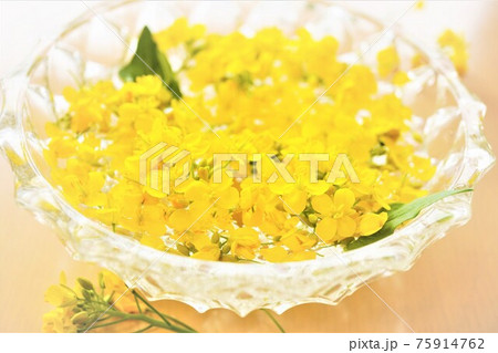 たくさんの黄色いの菜の花のフローティングフラワー たくさんの黄色いの菜の花のフローティングフラワー 75914762