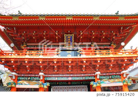 東京都千代田区外神田にある神田神社の隨神門とさくら満開 75915420