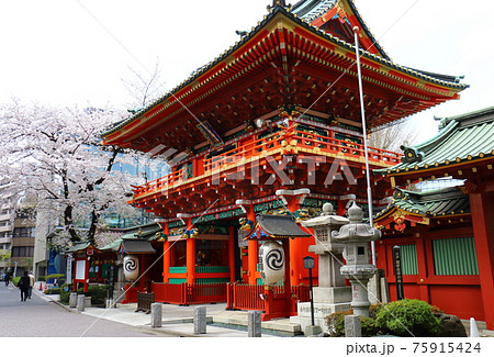 東京都千代田区外神田にある神田神社の隨神門とさくら満開 東京都千代田区外神田にある神田神社の隨神門とさくら満開 75915424