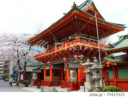 東京都千代田区外神田にある神田神社の隨神門とさくら満開 東京都千代田区外神田にある神田神社の隨神門とさくら満開 75915425