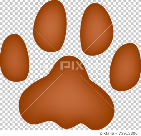 Brown animal footprints watercolor style 75915806
