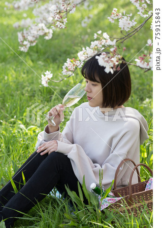お花見はビールよりワインがいいと思う お花見はビールよりワインがいいと思う 75915843
