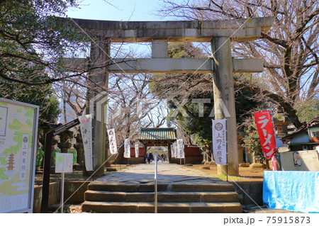 東京都台東区上野公園内の上野東照宮 鳥居 東京都台東区上野公園内の上野東照宮 鳥居 75915873